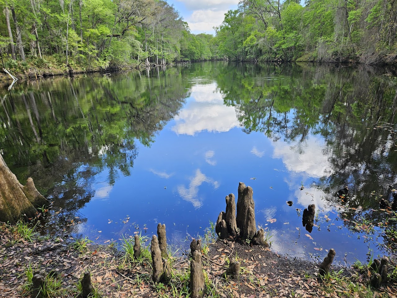 River Rise Preserve State Park | Where the Santa Fe River Reappears ...