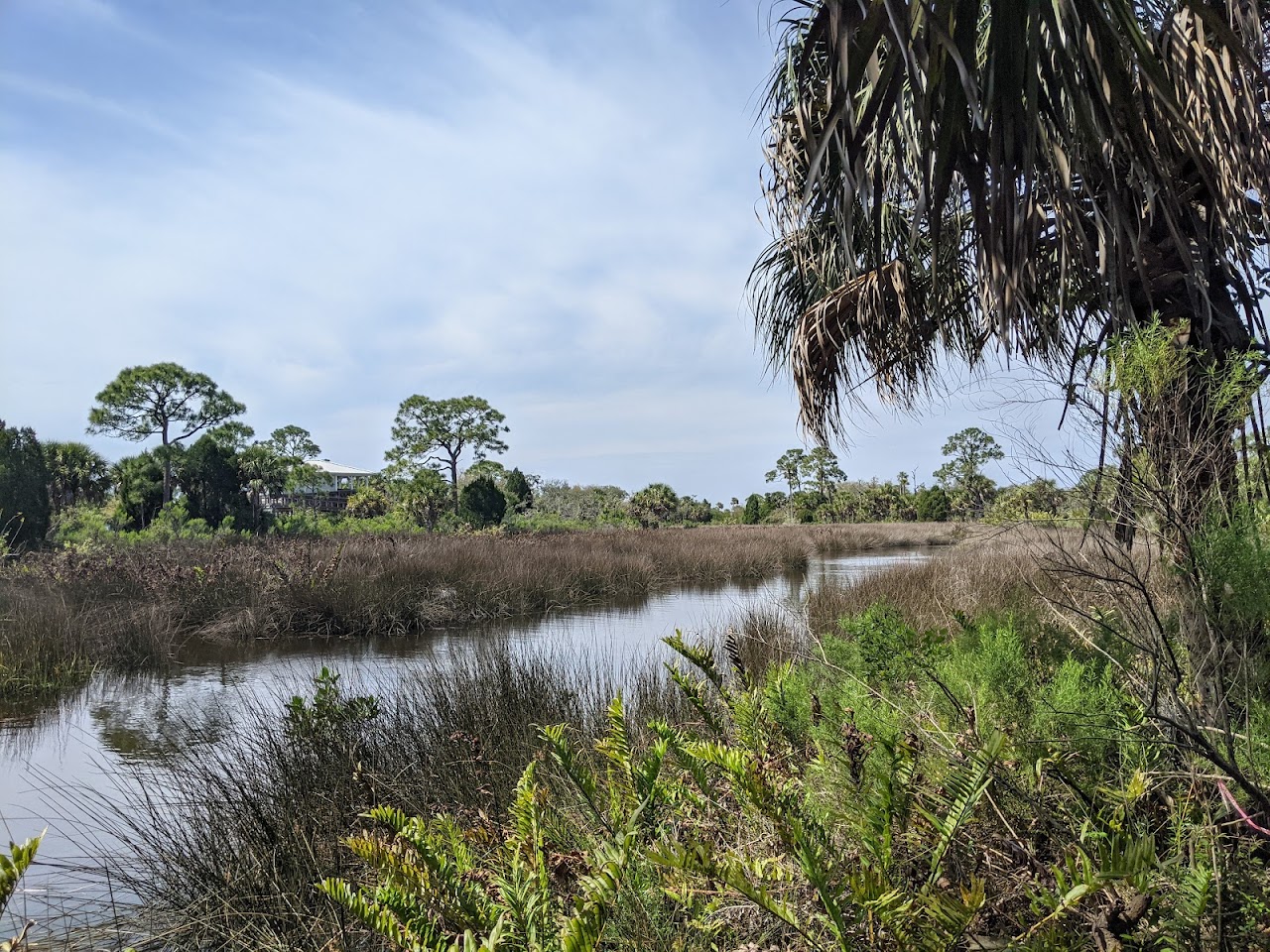 Werner-Boyce Salt Springs State Park | Discover Florida Parks